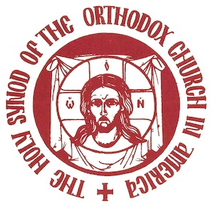 OCA Holy Synod releases Position Paper on Canonical Regional Planning
