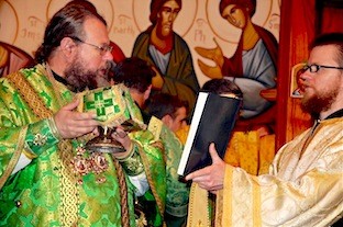 Metropolitan Jonah reading